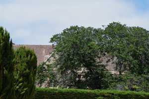 carrick hill 2014 (40)